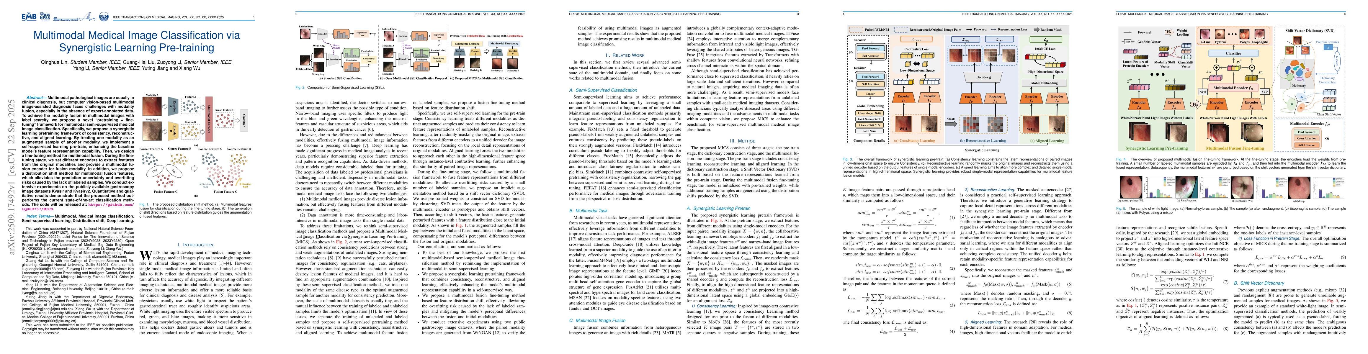 Thumbnail for Multimodal Medical Image Classification via Synergistic Learning
  Pre-training