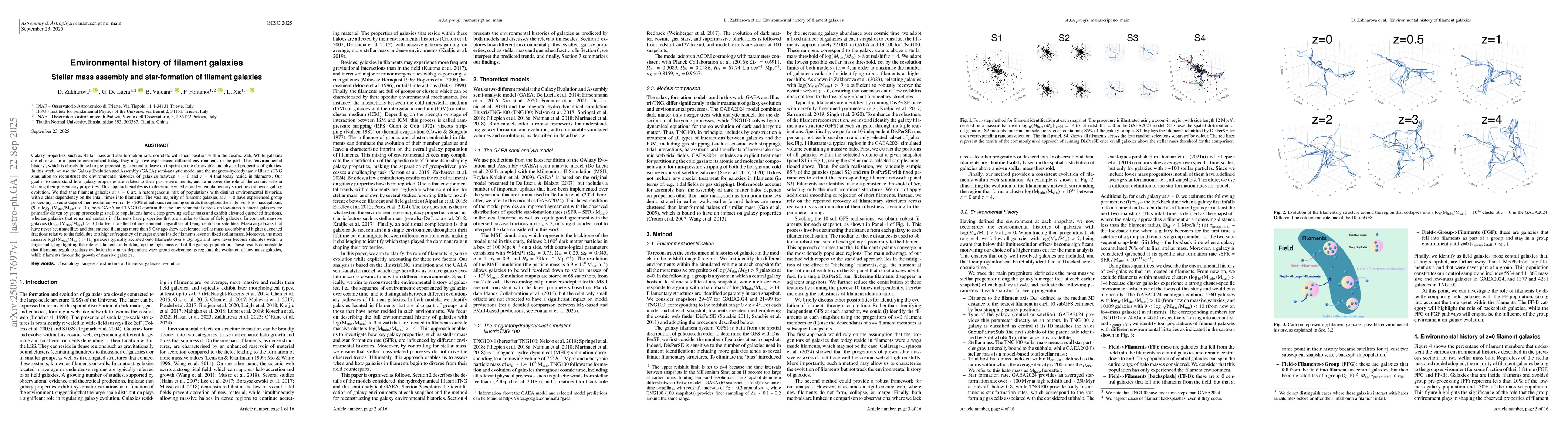 Thumbnail for Environmental history of filament galaxies: stellar mass assembly and
  star-formation of filament galaxies