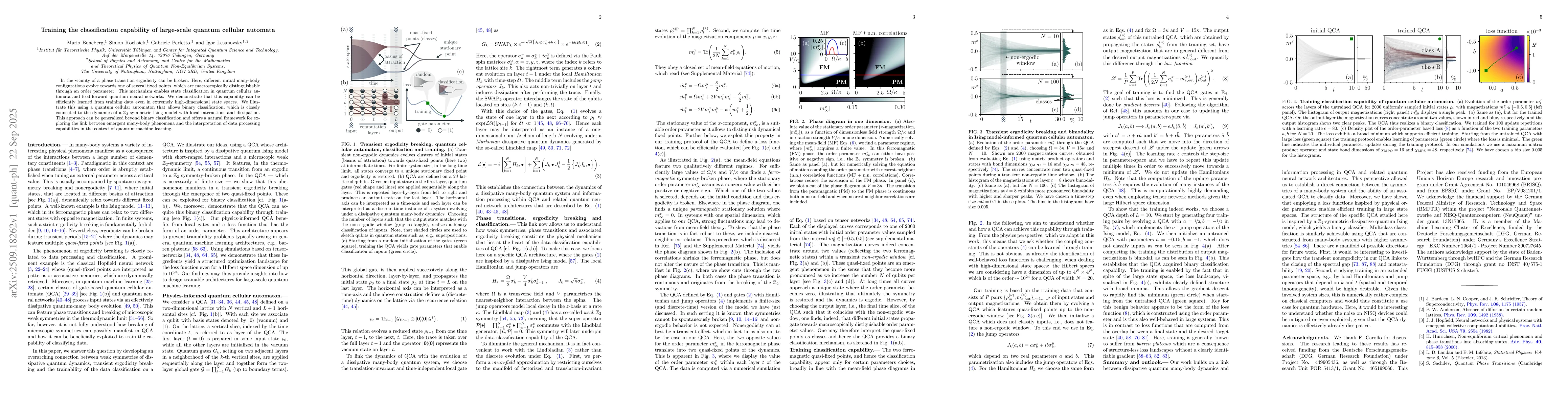 Thumbnail for Training the classification capability of large-scale quantum cellular
  automata