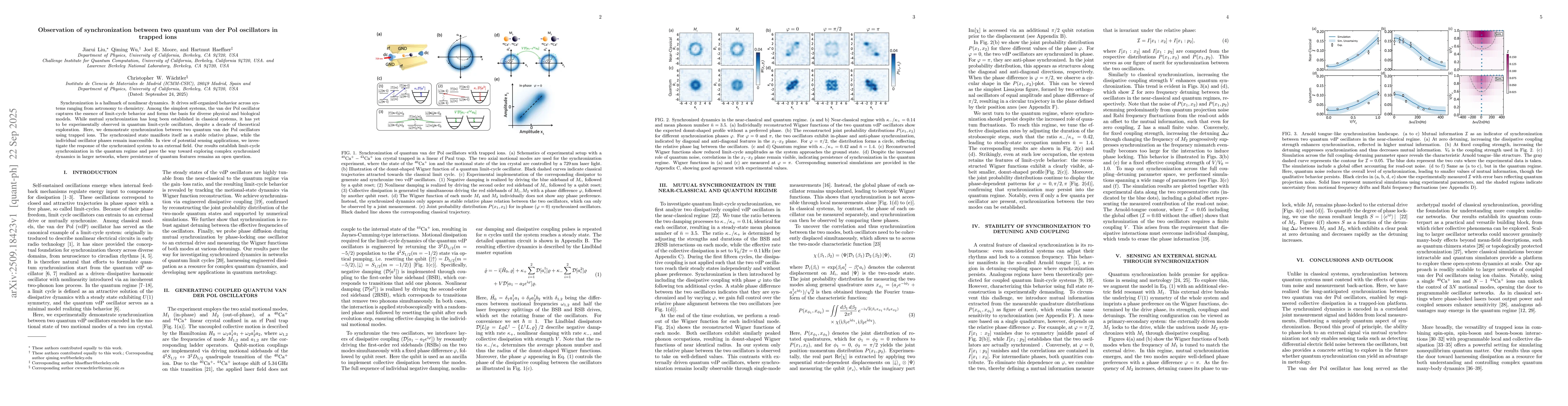 Thumbnail for Observation of synchronization between two quantum van der Pol
  oscillators in trapped ions