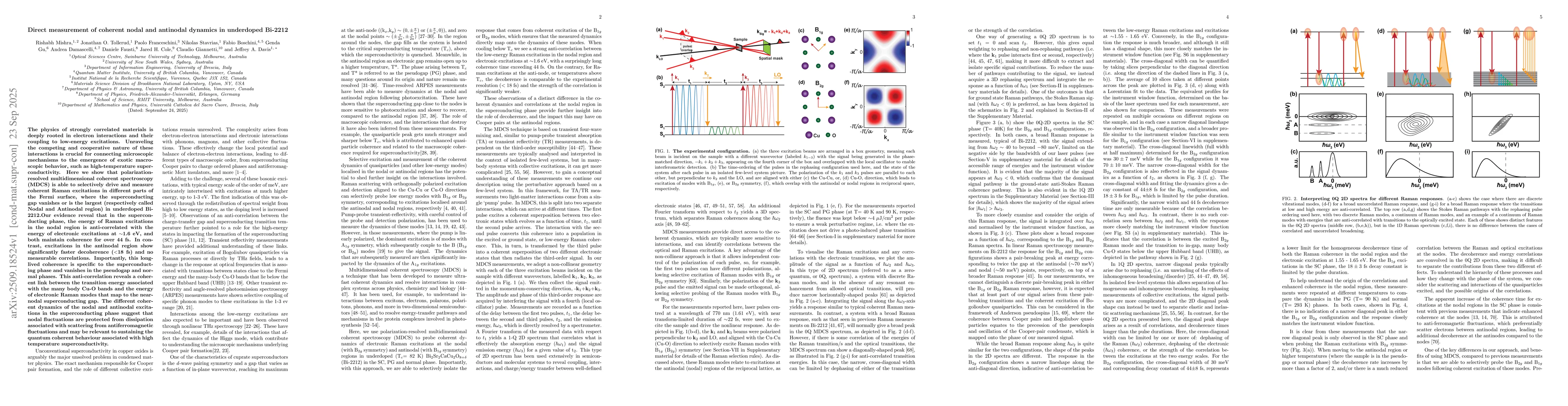 Thumbnail for Direct measurement of coherent nodal and antinodal dynamics in
  underdoped Bi-2212