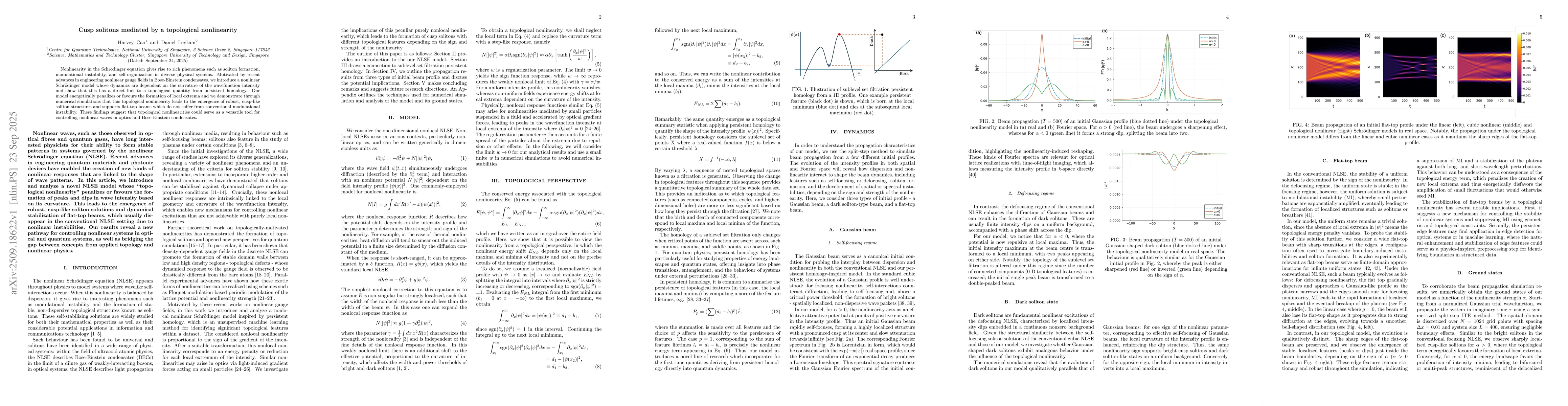 Thumbnail for Cusp solitons mediated by a topological nonlinearity