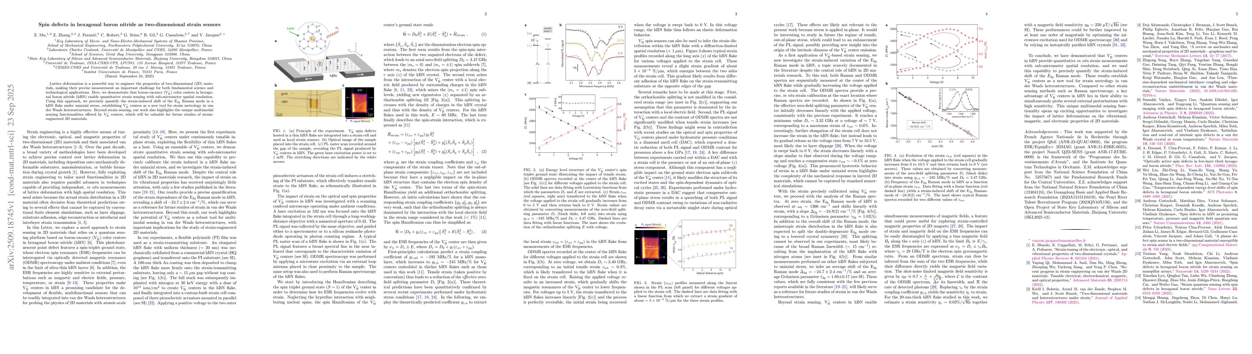 Thumbnail for Spin defects in hexagonal boron nitride as two-dimensional strain
  sensors