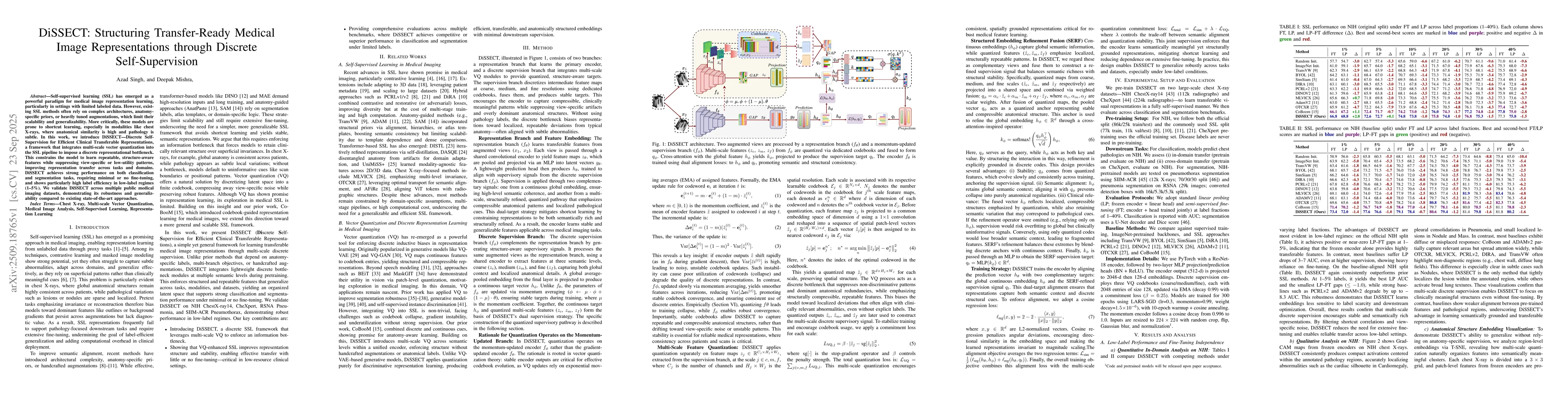 Thumbnail for DiSSECT: Structuring Transfer-Ready Medical Image Representations
  through Discrete Self-Supervision