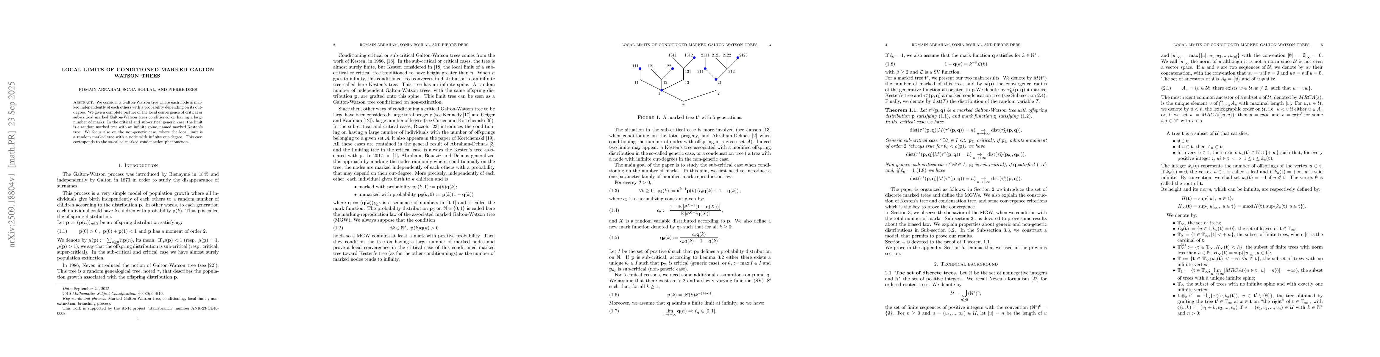 Thumbnail for Local limits of conditioned marked Galton Watson trees