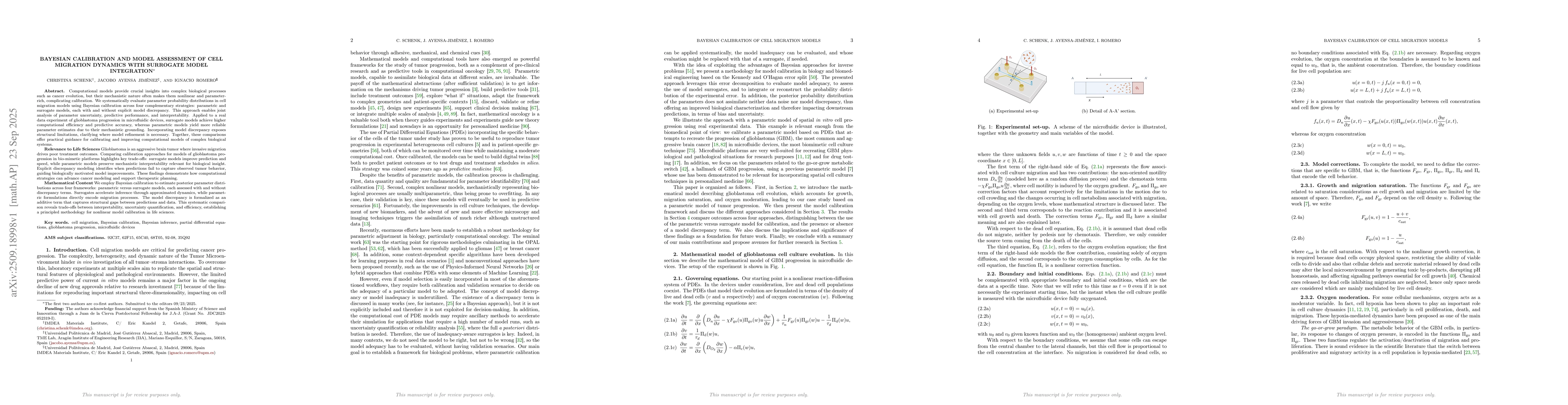 Thumbnail for Bayesian Calibration and Model Assessment of Cell Migration Dynamics
  with Surrogate Model Integration