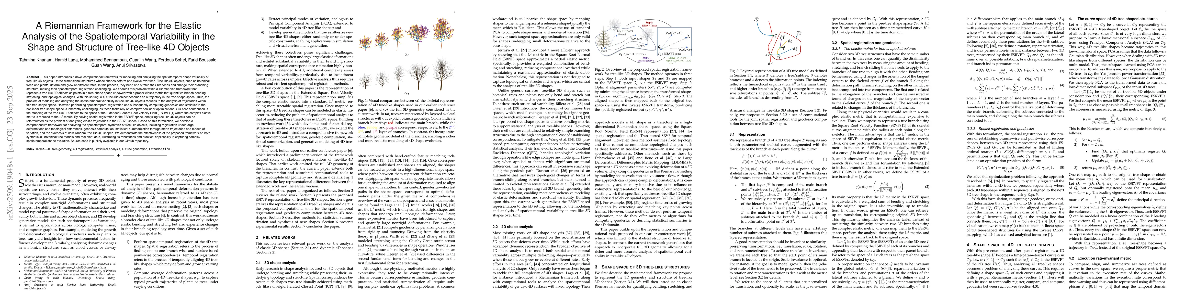 Thumbnail for A Riemannian Framework for the Elastic Analysis of the Spatiotemporal
  Variability in the Shape and Structure of Tree-like 4D Objects