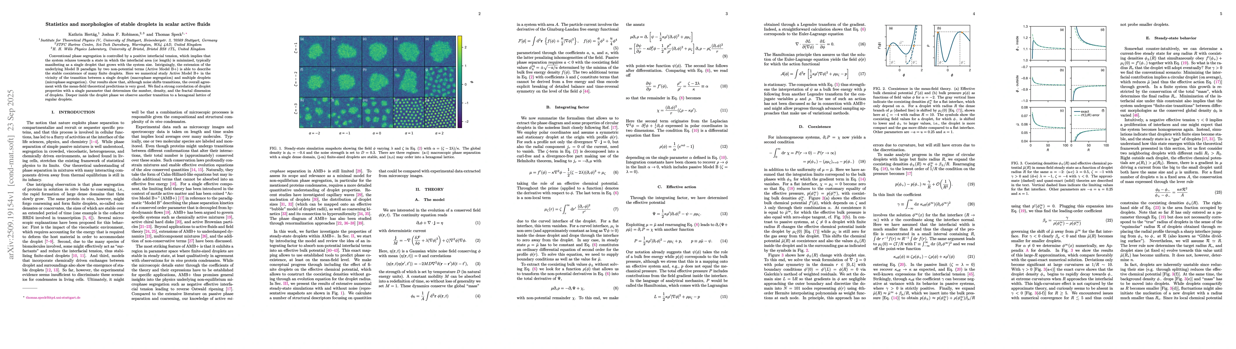 Thumbnail for Statistics and morphologies of stable droplets in scalar active fluids