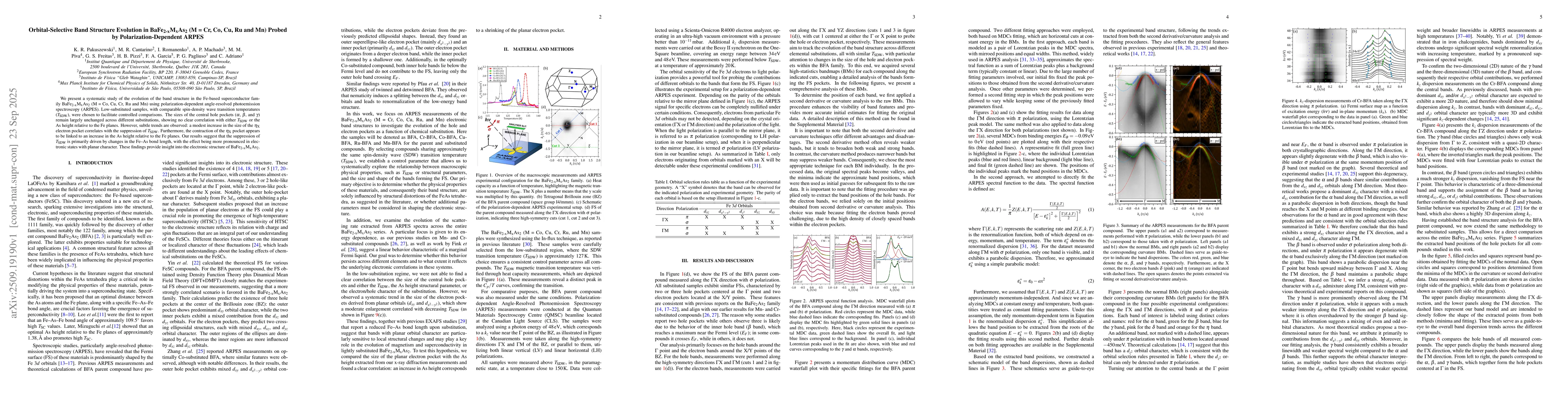 Thumbnail for Orbital-Selective Band Structure Evolution in BaFe$_{2-x}$M$_x$As$_2$ (M
  = Cr, Co, Cu, Ru and Mn) Probed by Polarization-Dependent ARPES