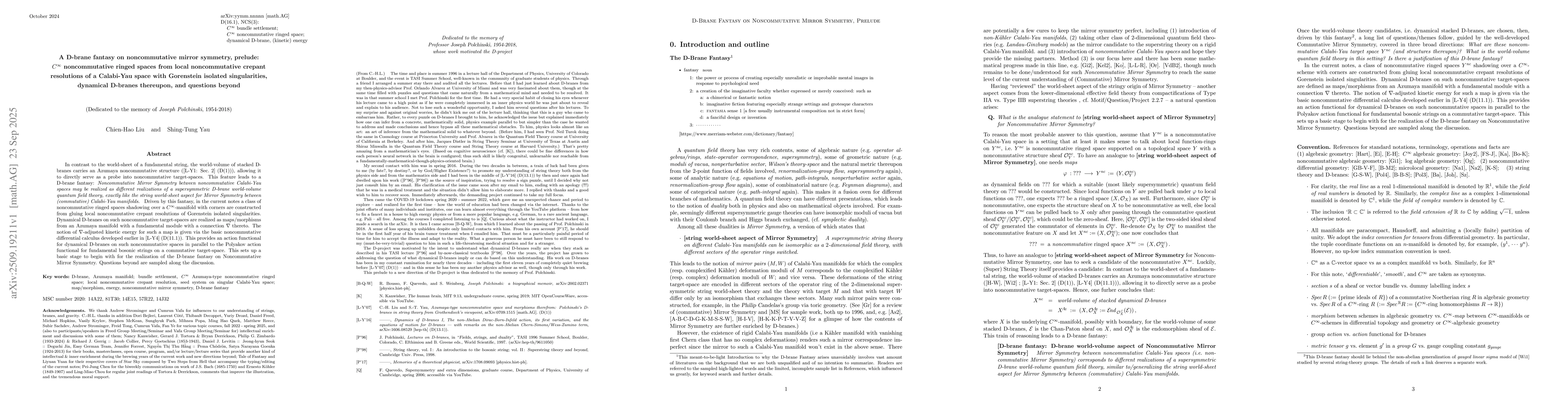 Thumbnail for A D-brane fantasy on noncommutative mirror symmetry, prelude:
  Noncommutative ringed spaces from local noncommutative crepant resolutions of
  a singular Calabi-Yau space, dynamical D-branes thereupon, and questions
  beyond