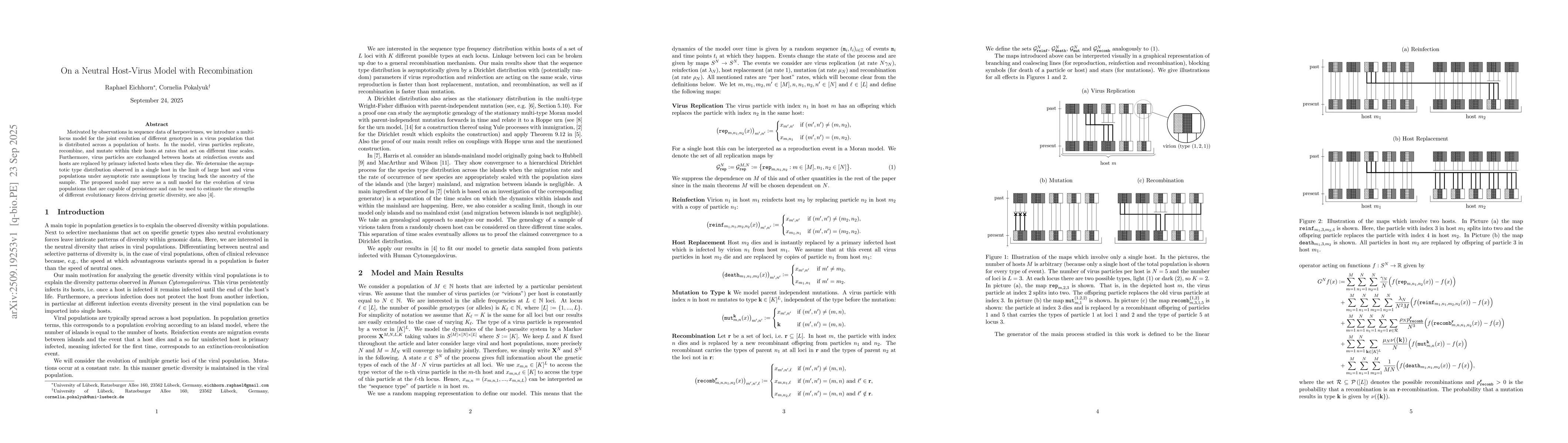 Thumbnail for On a Neutral Host-Virus Model with Recombination