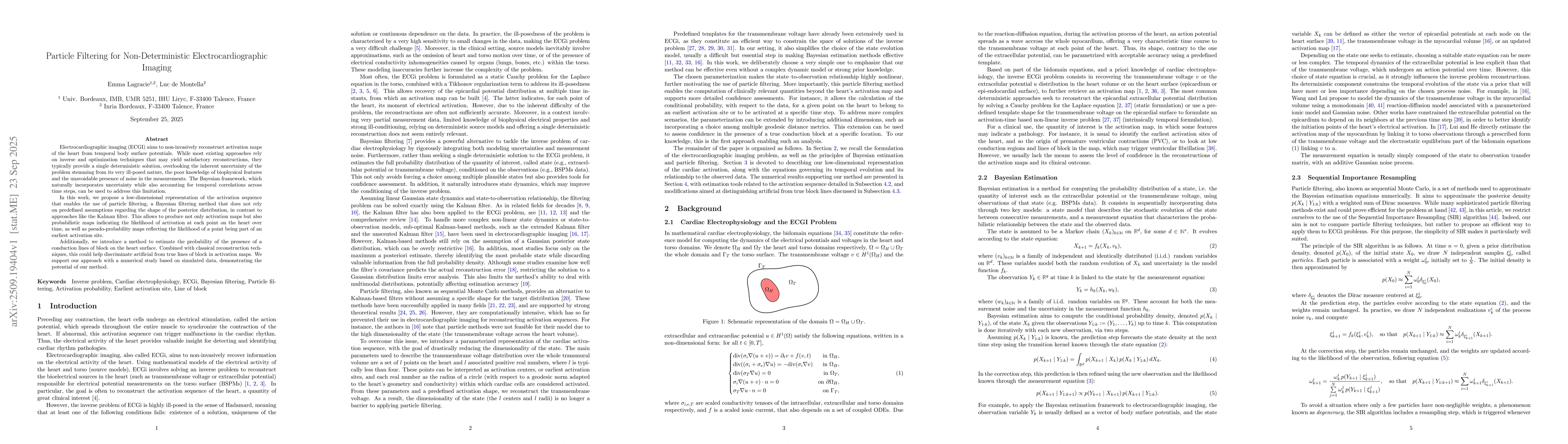 Thumbnail for Particle Filtering for Non-Deterministic Electrocardiographic Imaging