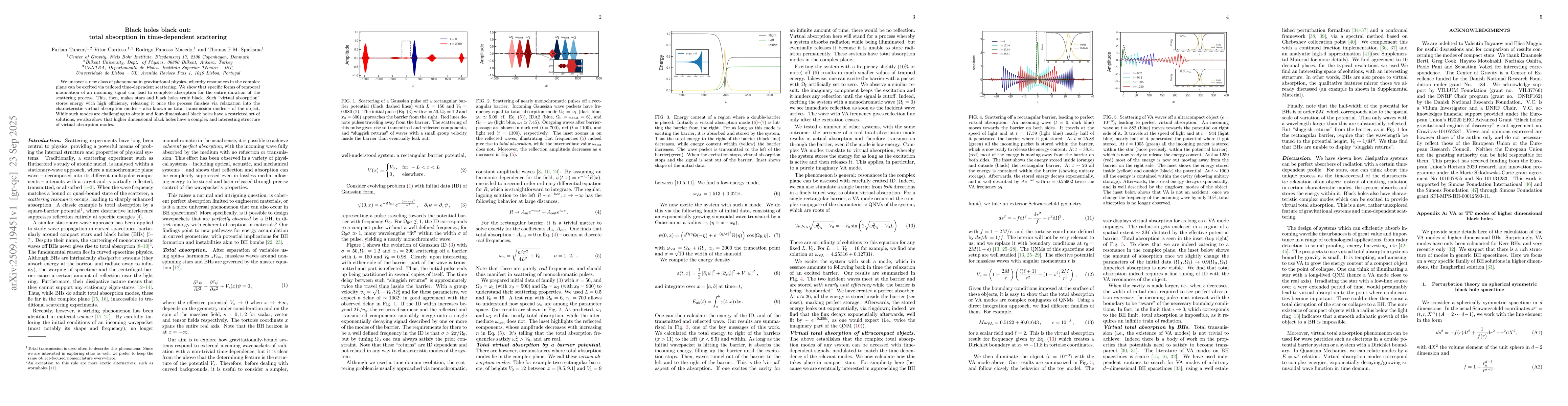 Thumbnail for Black holes black out: total absorption in time-dependent scattering