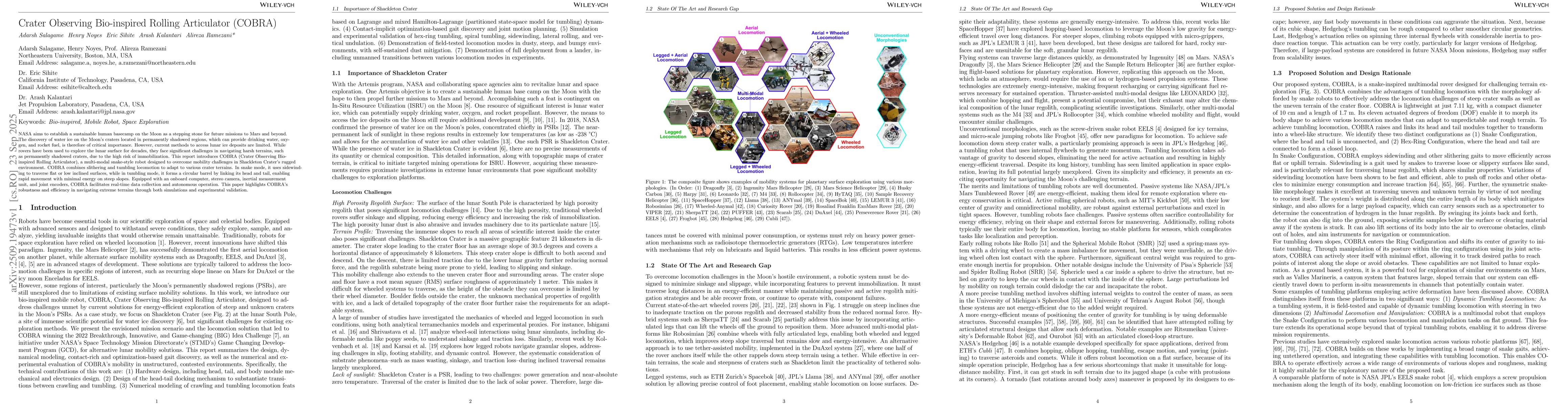 Thumbnail for Crater Observing Bio-inspired Rolling Articulator (COBRA)