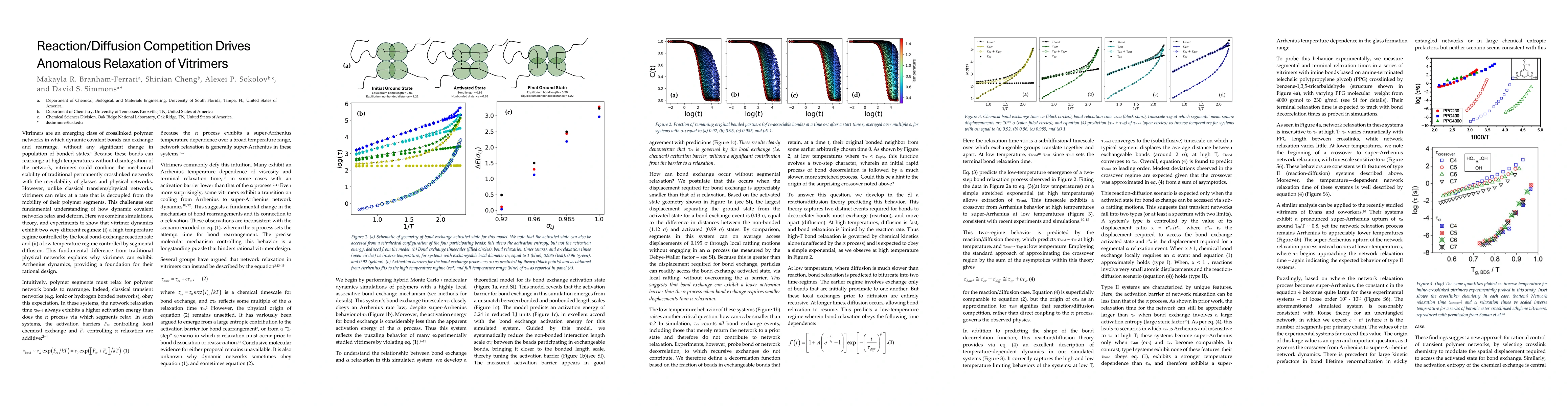 Thumbnail for Reaction/Diffusion Competition Drives Anomalous Relaxation of Vitrimers
