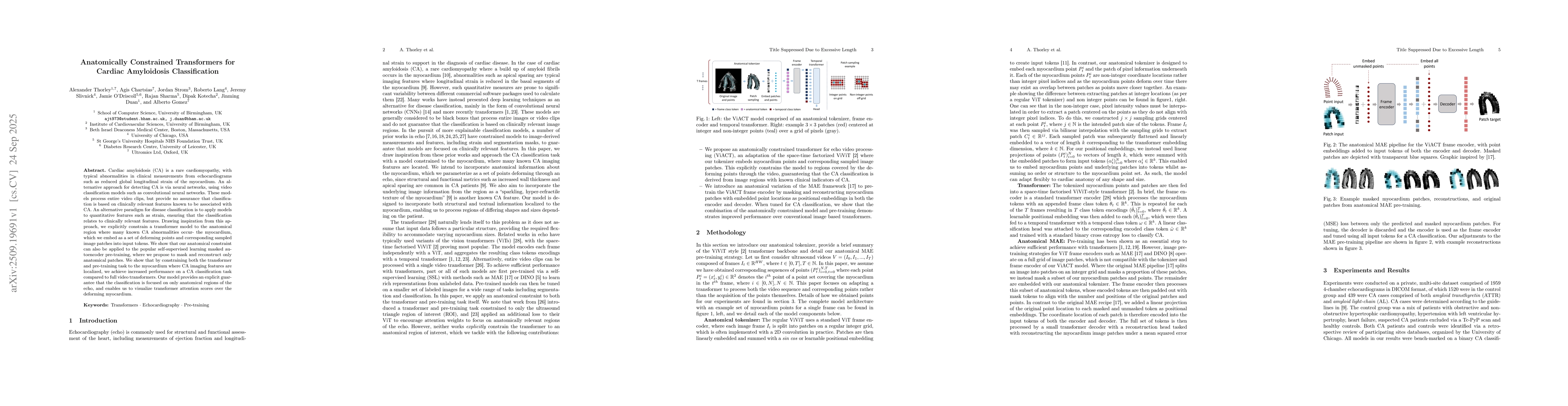 Thumbnail for Anatomically Constrained Transformers for Cardiac Amyloidosis
  Classification