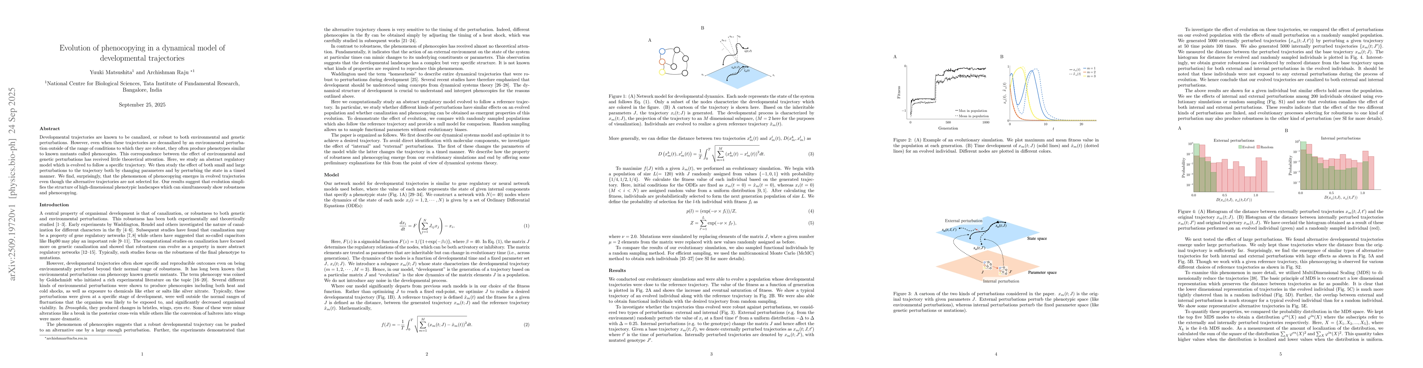 Thumbnail for Evolution of phenocopying in a dynamical model of developmental
  trajectories