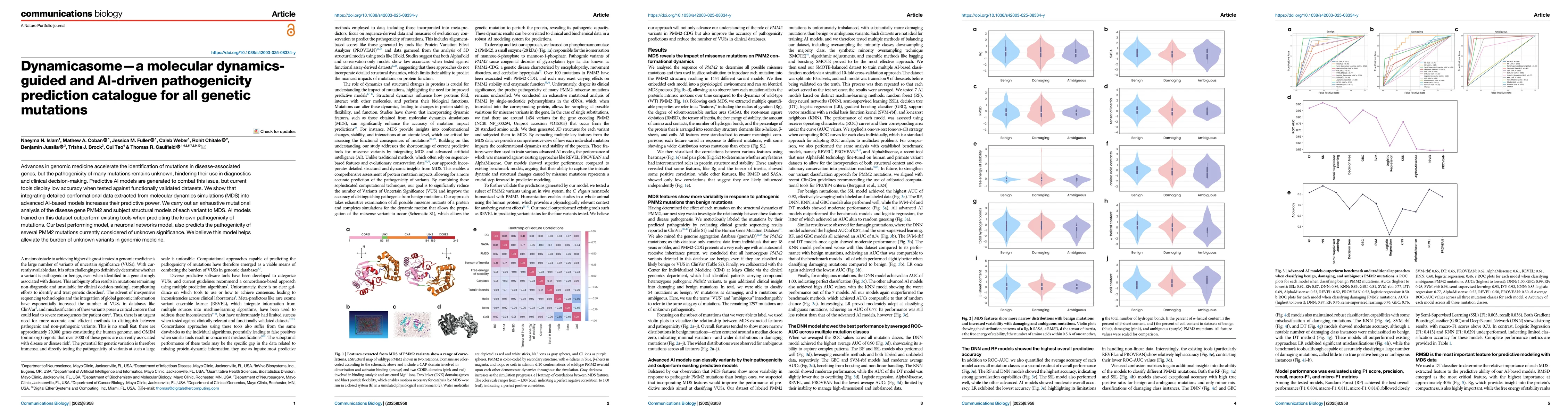 Thumbnail for Dynamicasome: a molecular dynamics-guided and AI-driven pathogenicity
  prediction catalogue for all genetic mutations