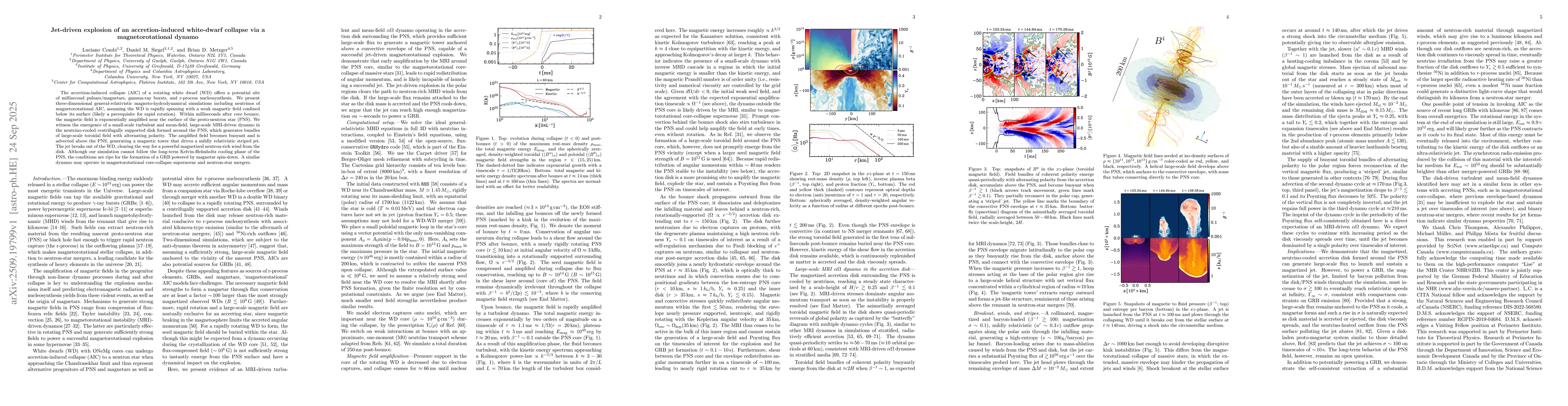 Thumbnail for Jet-driven explosion of an accretion-induced white-dwarf collapse via a
  magnetorotational dynamo