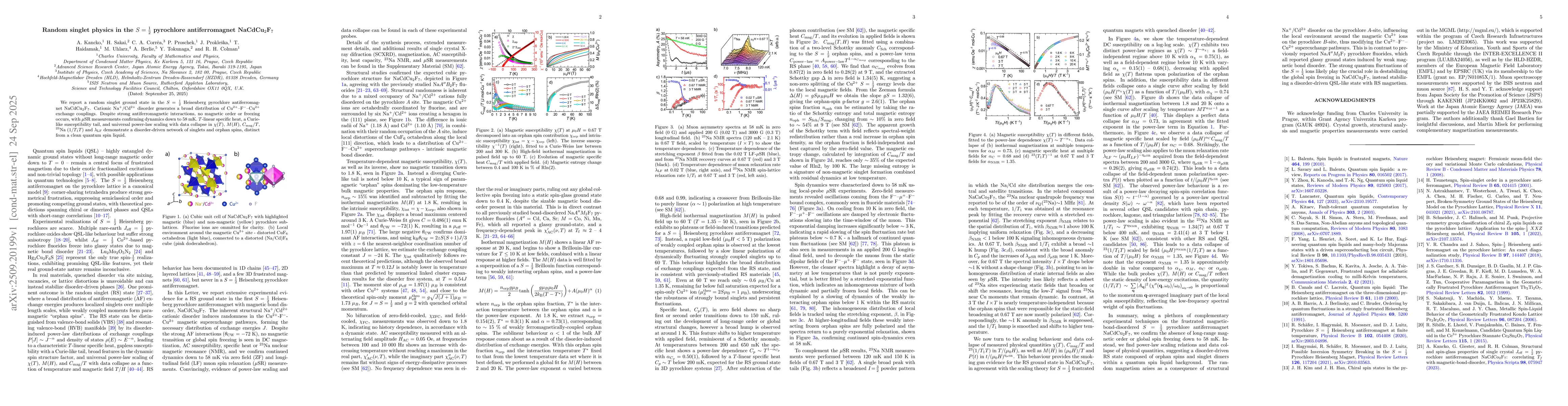 Thumbnail for Random singlet physics in the $S = \frac{1}{2}$ pyrochlore
  antiferromagnet NaCdCu$_2$F$_7$