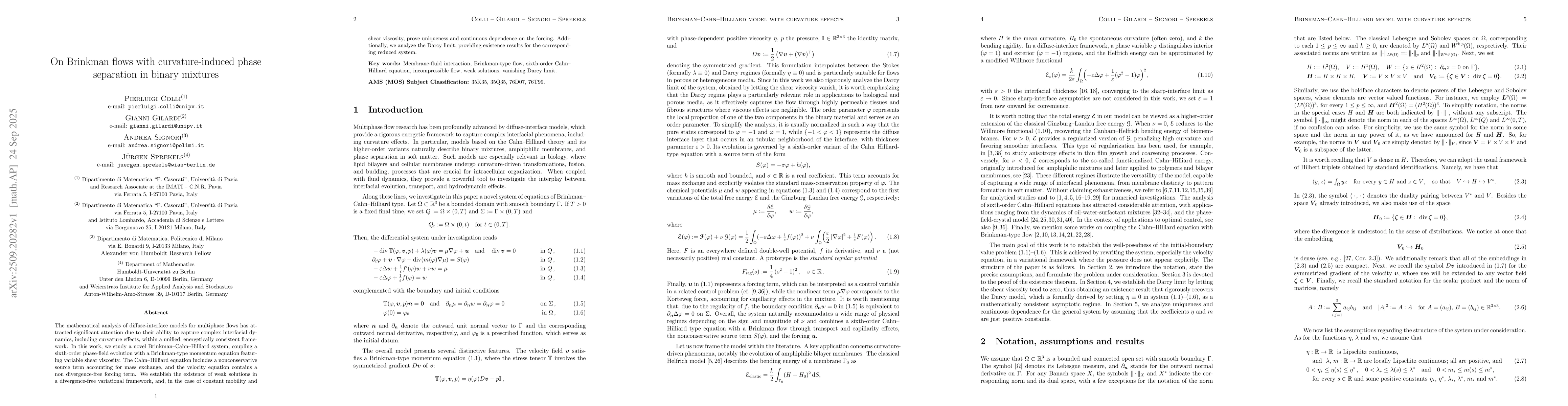 Thumbnail for On Brinkman flows with curvature-induced phase separation in binary
  mixtures
