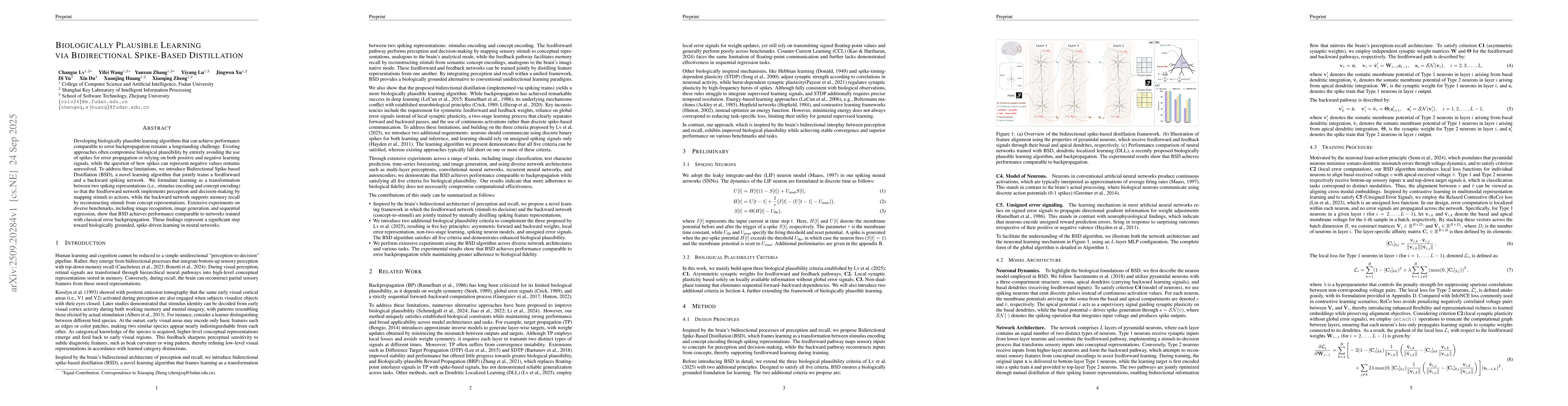Thumbnail for Biologically Plausible Learning via Bidirectional Spike-Based
  Distillation