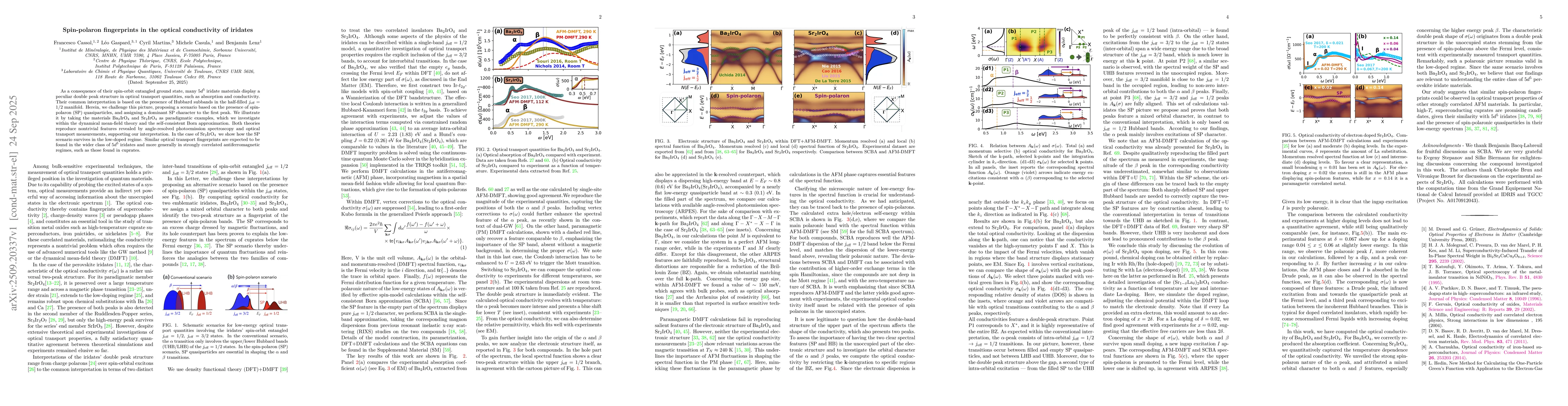 Thumbnail for Spin-polaron fingerprints in the optical conductivity of iridates