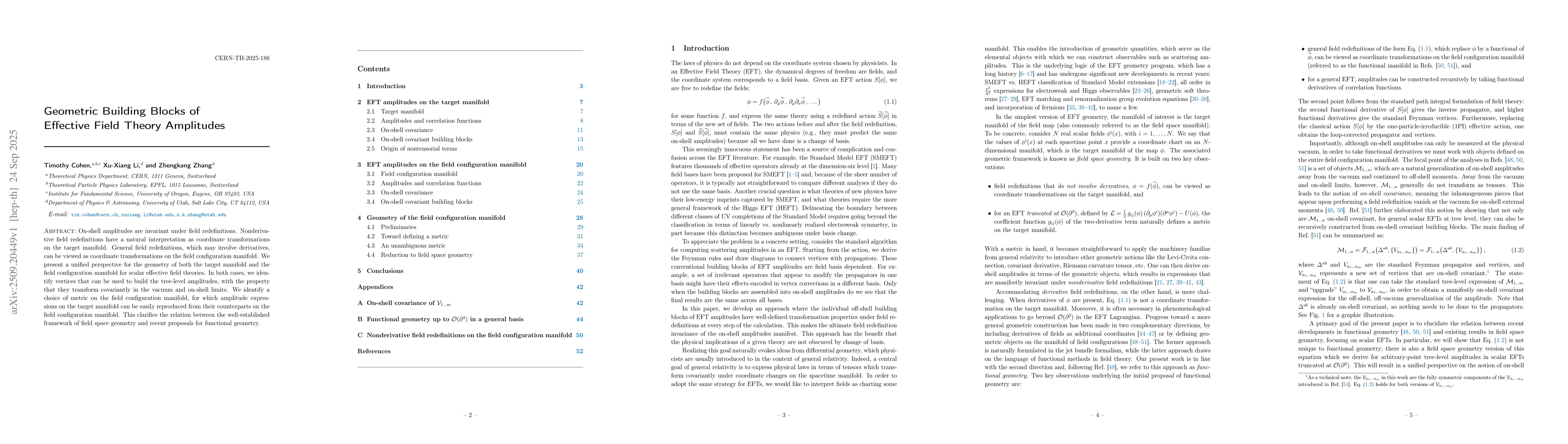 Thumbnail for Geometric Building Blocks of Effective Field Theory Amplitudes