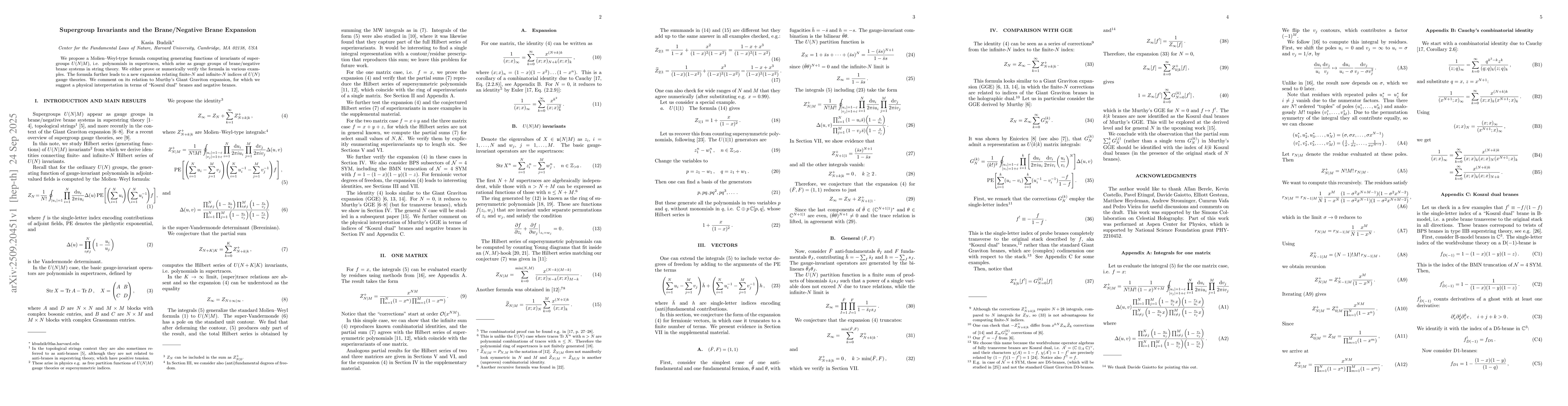 Thumbnail for Supergroup Invariants and the Brane/Negative Brane Expansion