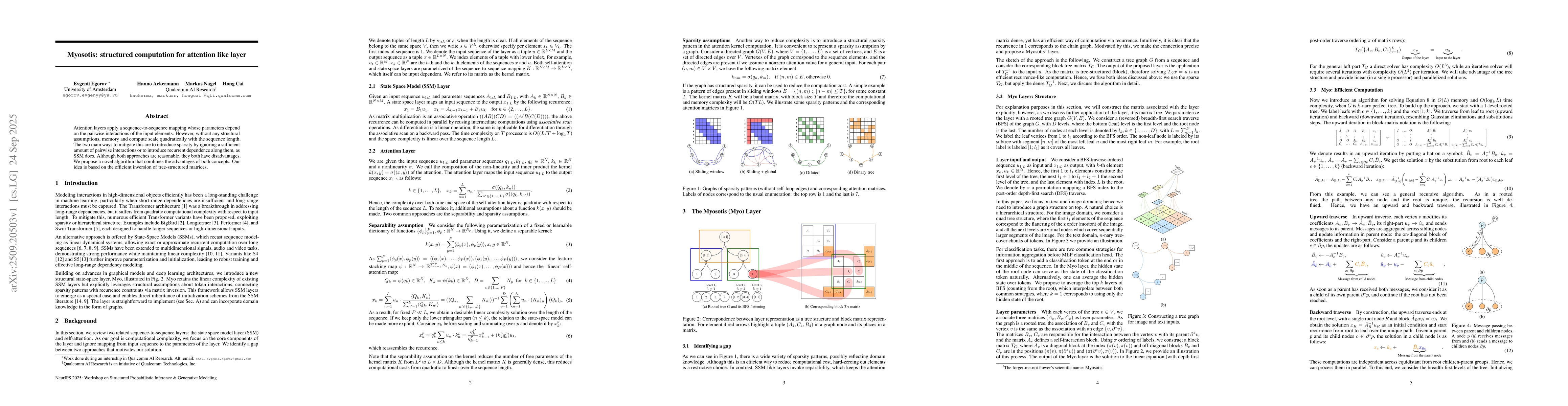 Thumbnail for Myosotis: structured computation for attention like layer