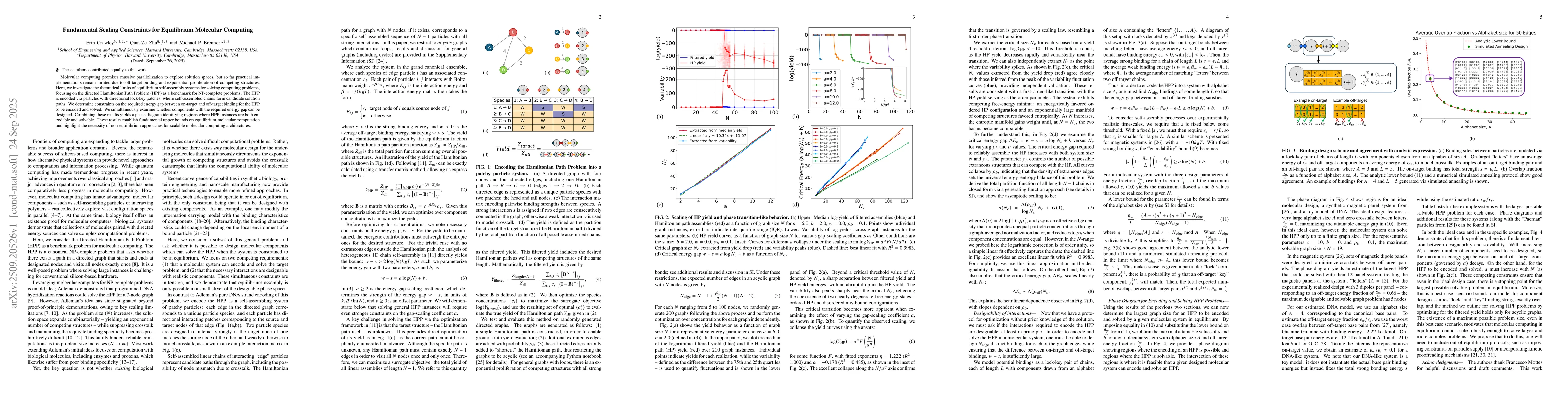 Thumbnail for Fundamental Scaling Constraints for Equilibrium Molecular Computing