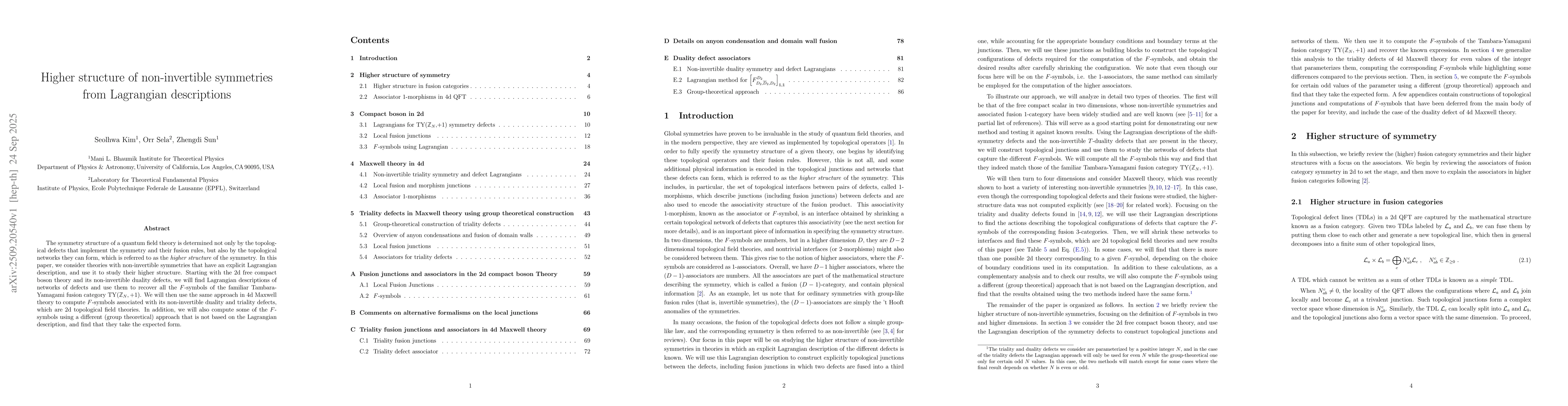 Thumbnail for Higher structure of non-invertible symmetries from Lagrangian
  descriptions