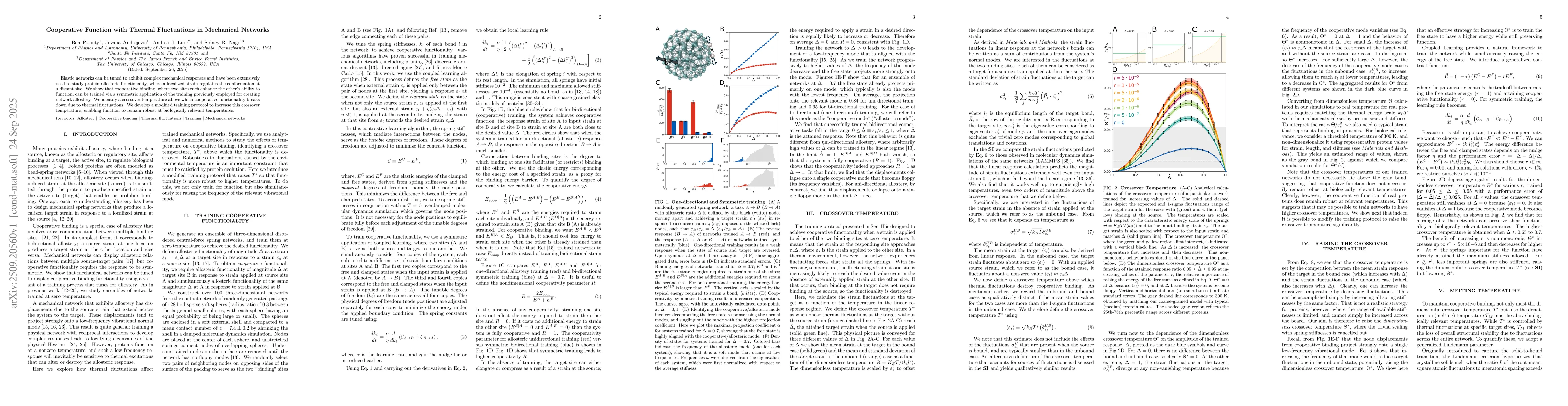 Thumbnail for Cooperative Function with Thermal Fluctuations in Mechanical Networks