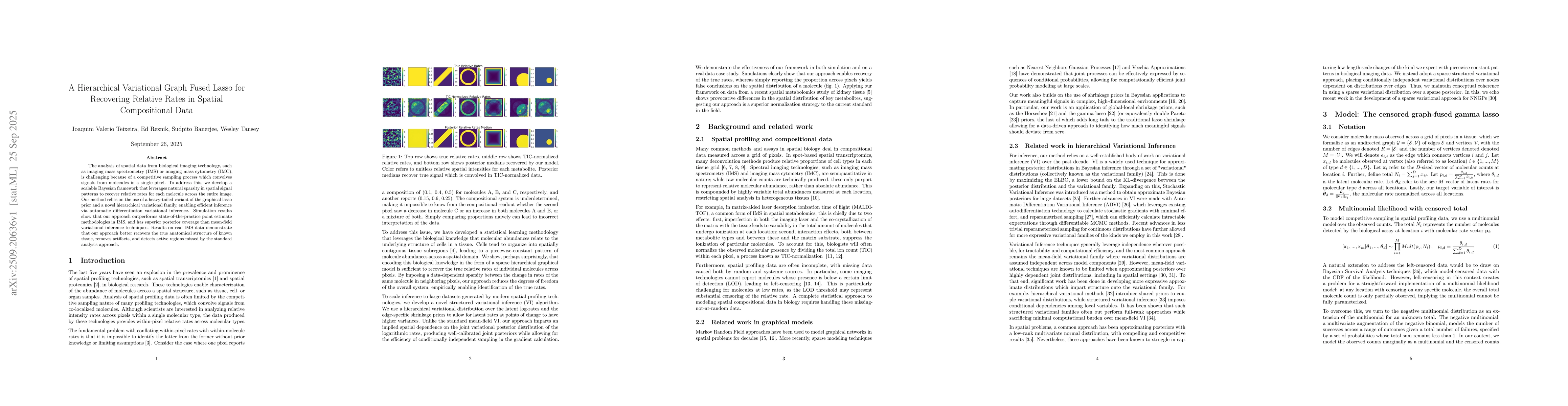 Thumbnail for A Hierarchical Variational Graph Fused Lasso for Recovering Relative
  Rates in Spatial Compositional Data