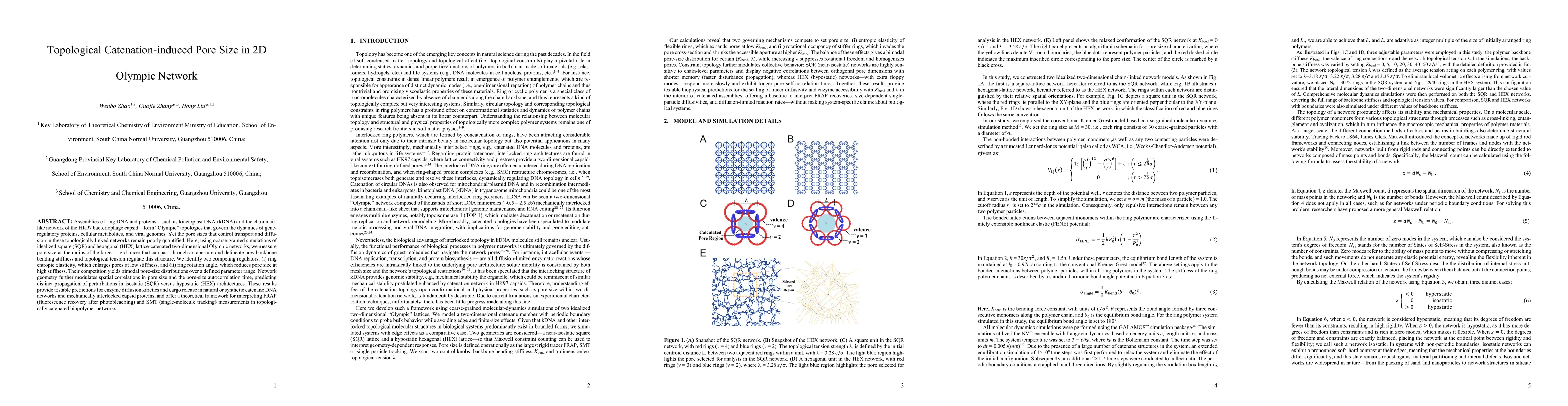 Thumbnail for Topological Catenation-induced Pore Size in 2D Olympic Network