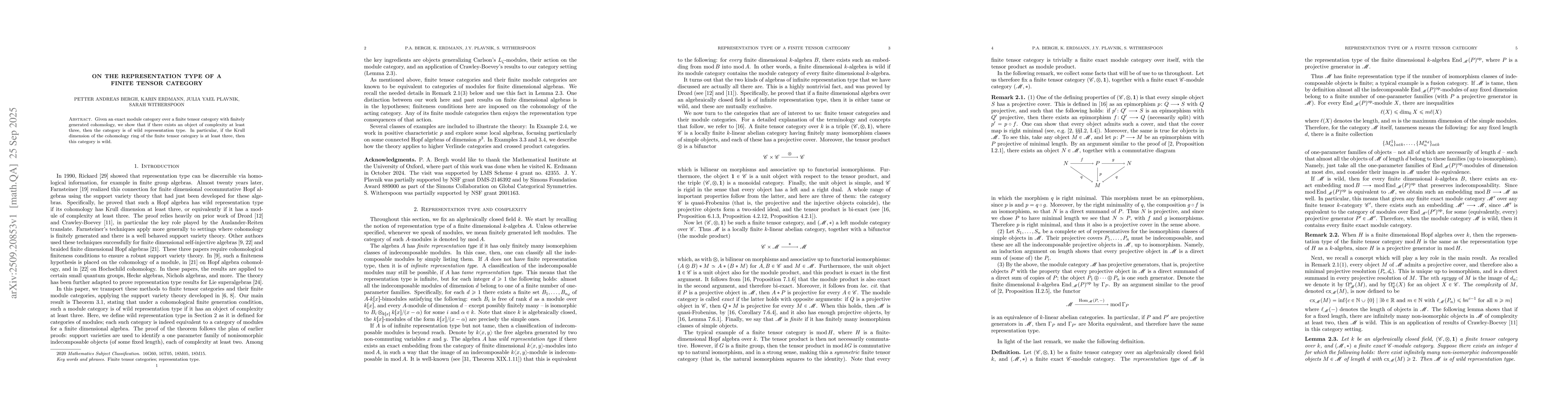 Thumbnail for On the representation type of a finite tensor category