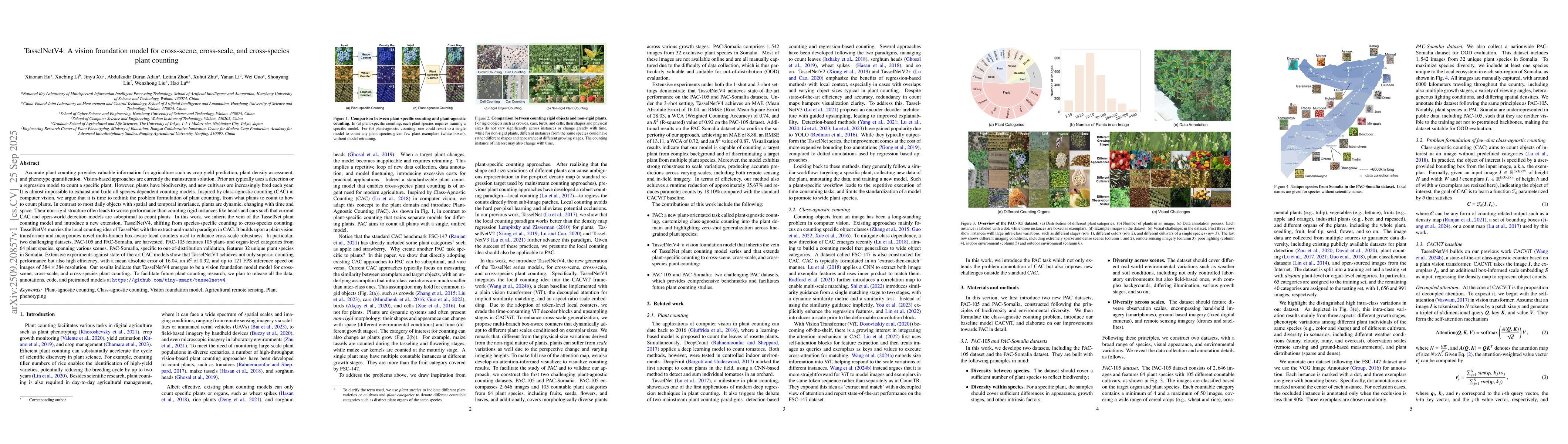 Thumbnail for TasselNetV4: A vision foundation model for cross-scene, cross-scale, and
  cross-species plant counting