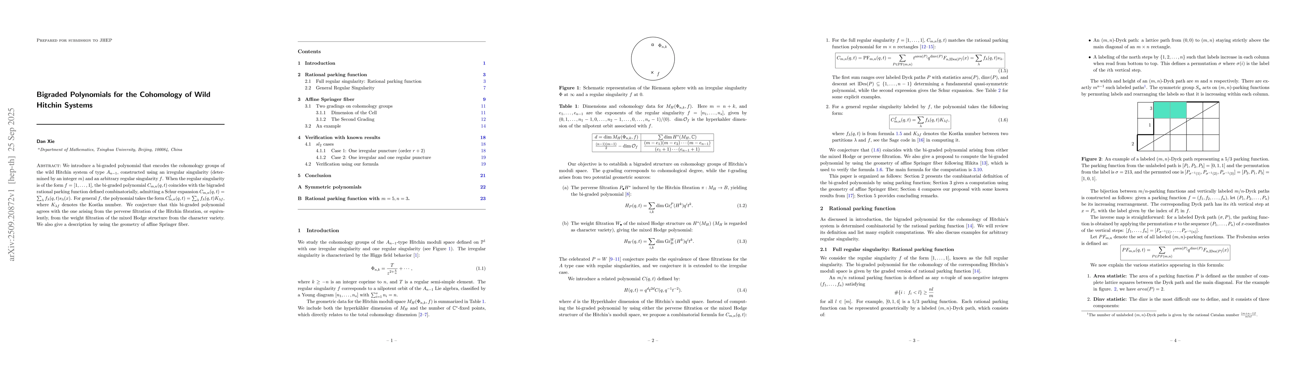 Thumbnail for Bigraded Polynomials for the Cohomology of Wild Hitchin Systems