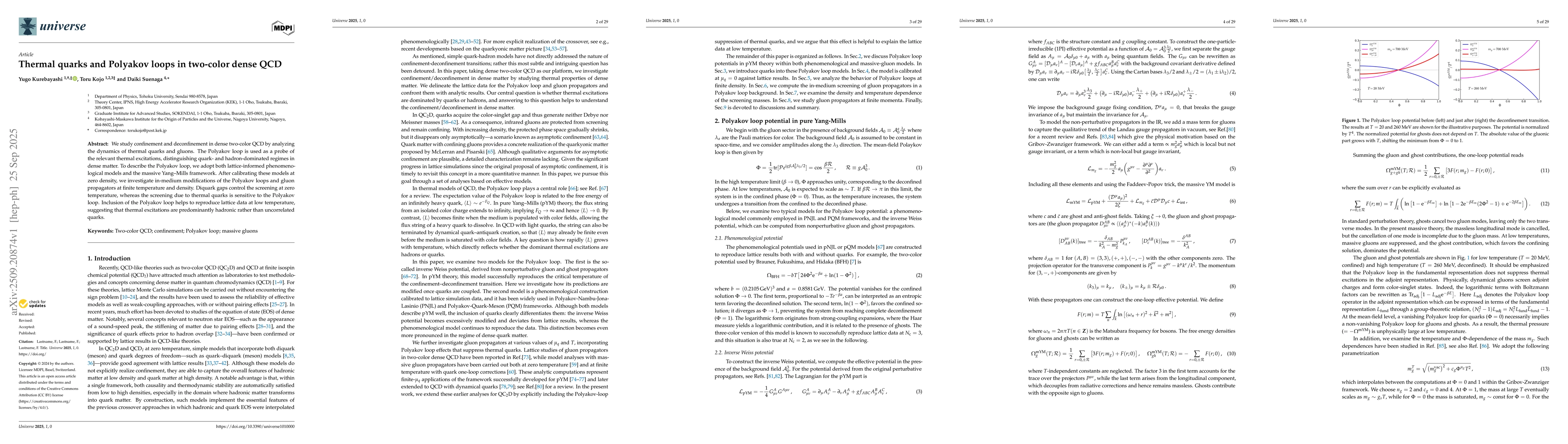Thumbnail for Thermal quarks and Polyakov loops in two-color dense QCD