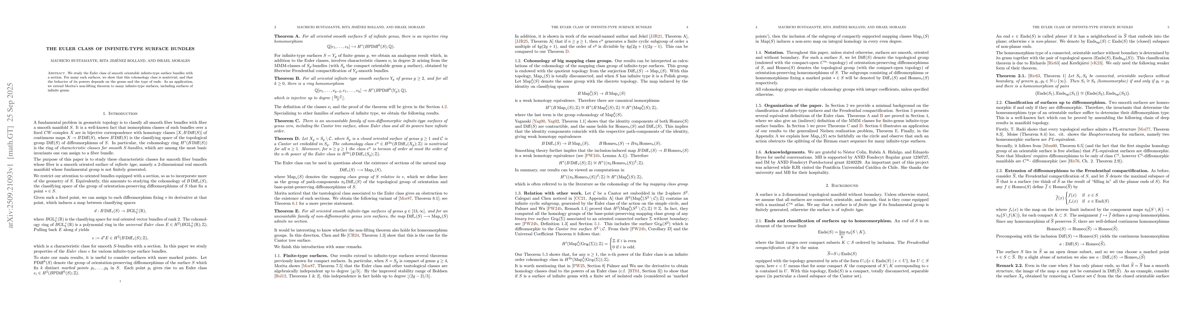 Thumbnail for The Euler class of infinite-type surface bundles