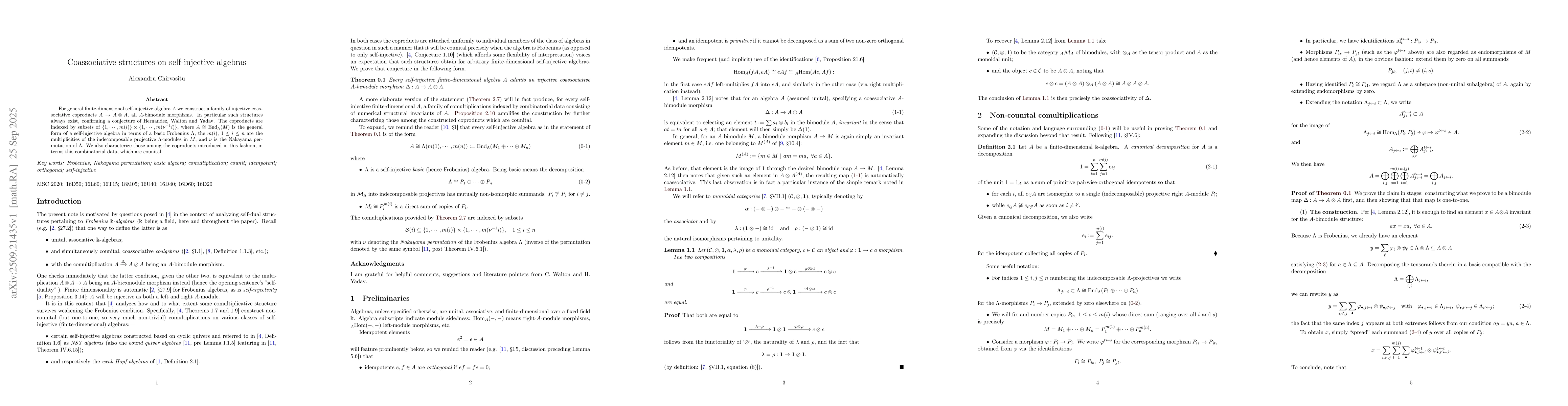 Thumbnail for Coassociative structures on self-injective algebras