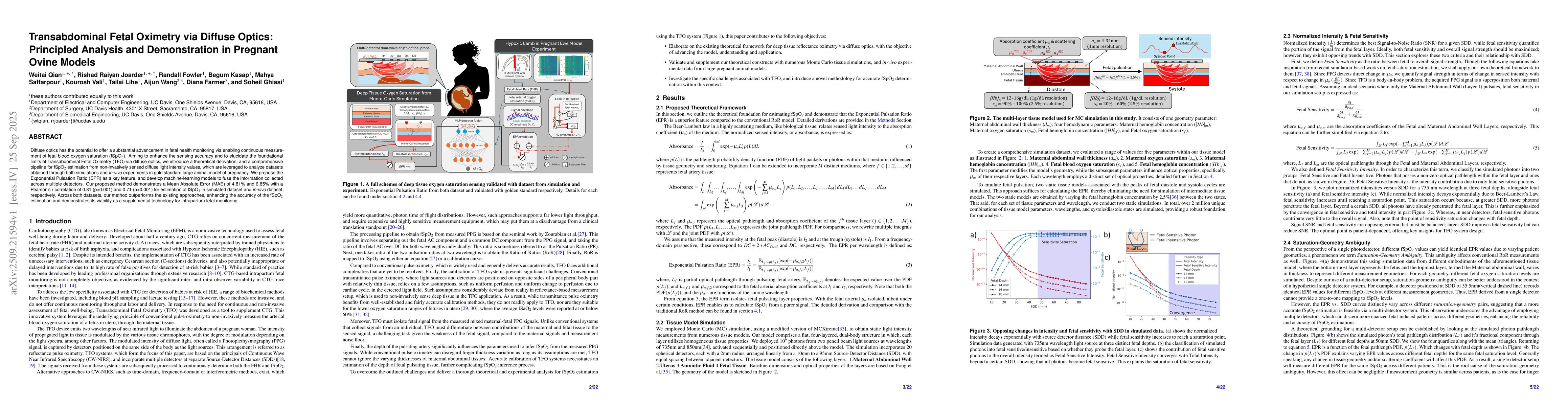 Thumbnail for Transabdominal Fetal Oximetry via Diffuse Optics: Principled Analysis
  and Demonstration in Pregnant Ovine Models