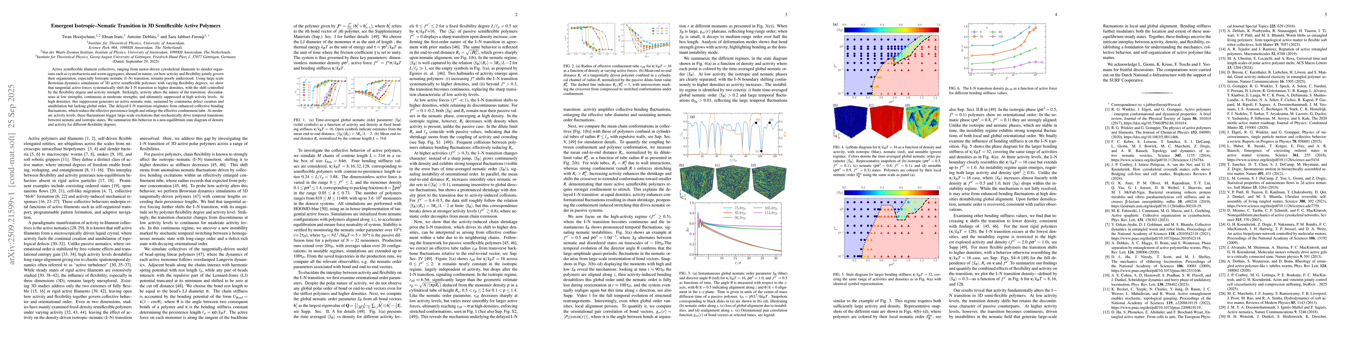 Thumbnail for Emergent Isotropic-Nematic Transition in 3D Semiflexible Active Polymers