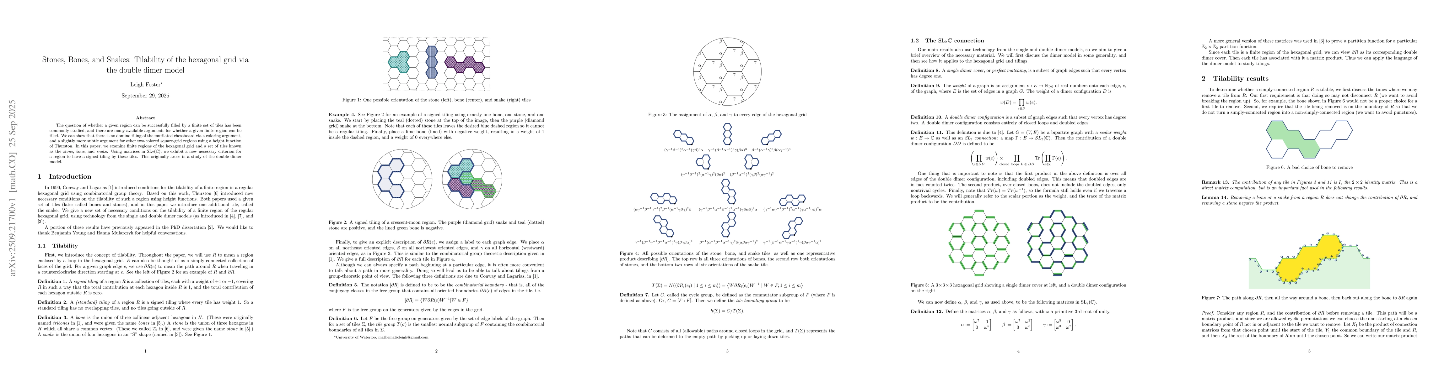 Thumbnail for Stones, Bones, and Snakes: Tilability of the hexagonal grid via the
  double dimer model