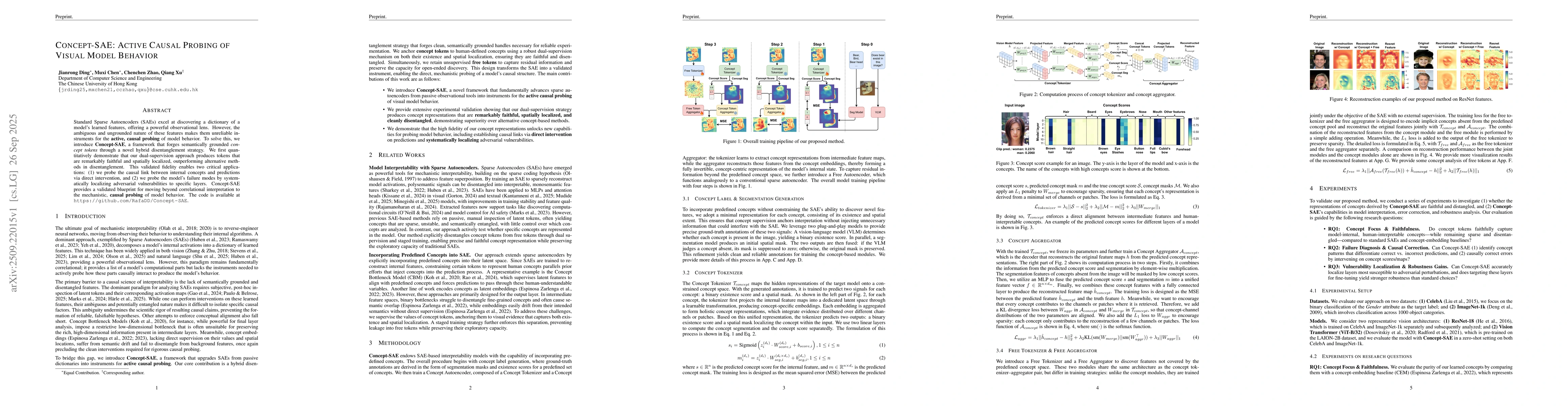 Thumbnail for Concept-SAE: Active Causal Probing of Visual Model Behavior