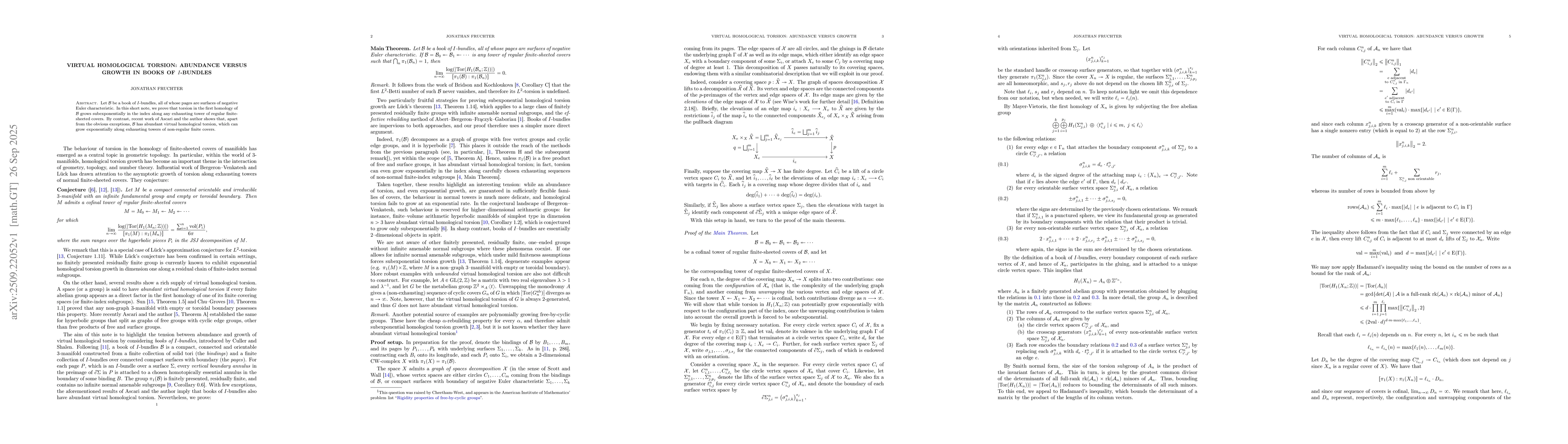 Thumbnail for Virtual homological torsion: abundance versus growth in books of
  $I$-bundles