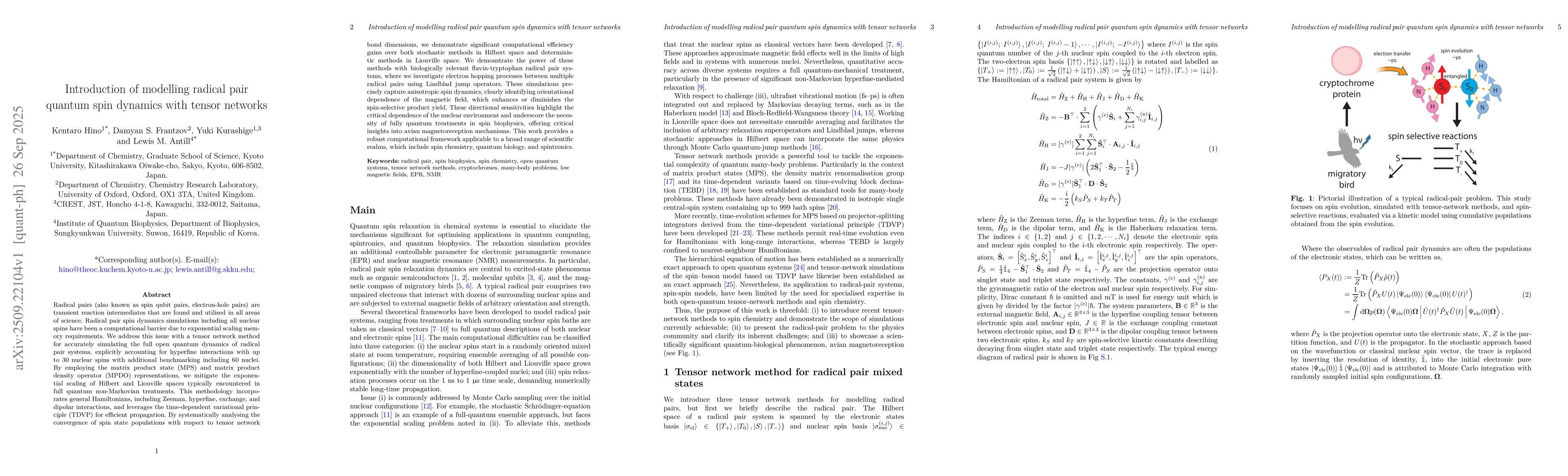 Thumbnail for Introduction of modelling radical pair quantum spin dynamics with tensor
  networks
