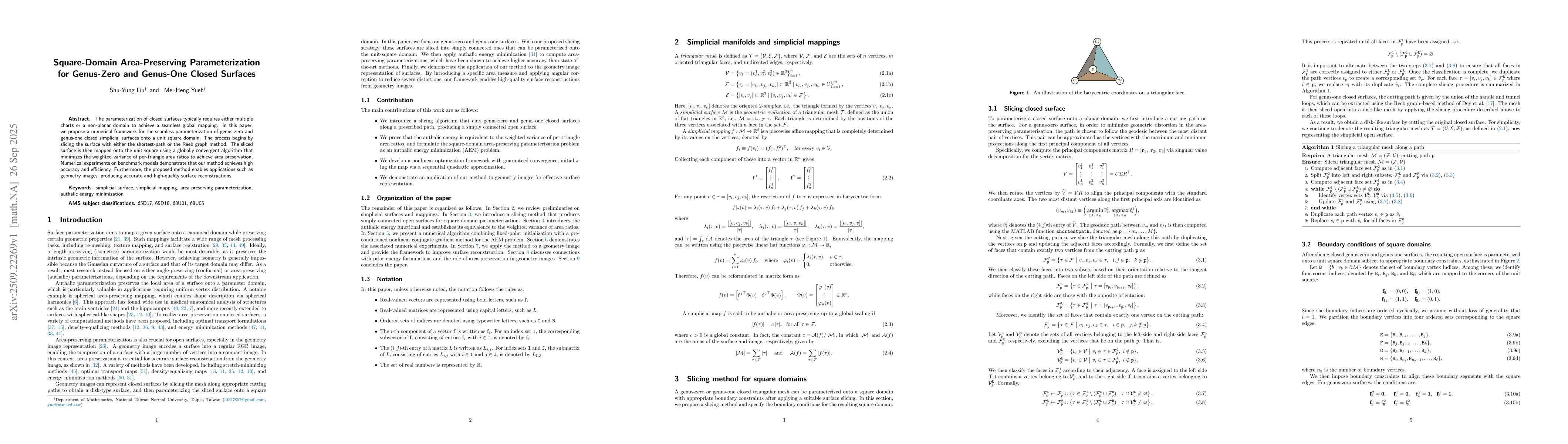 Thumbnail for Square-Domain Area-Preserving Parameterization for Genus-Zero and
  Genus-One Closed Surfaces
