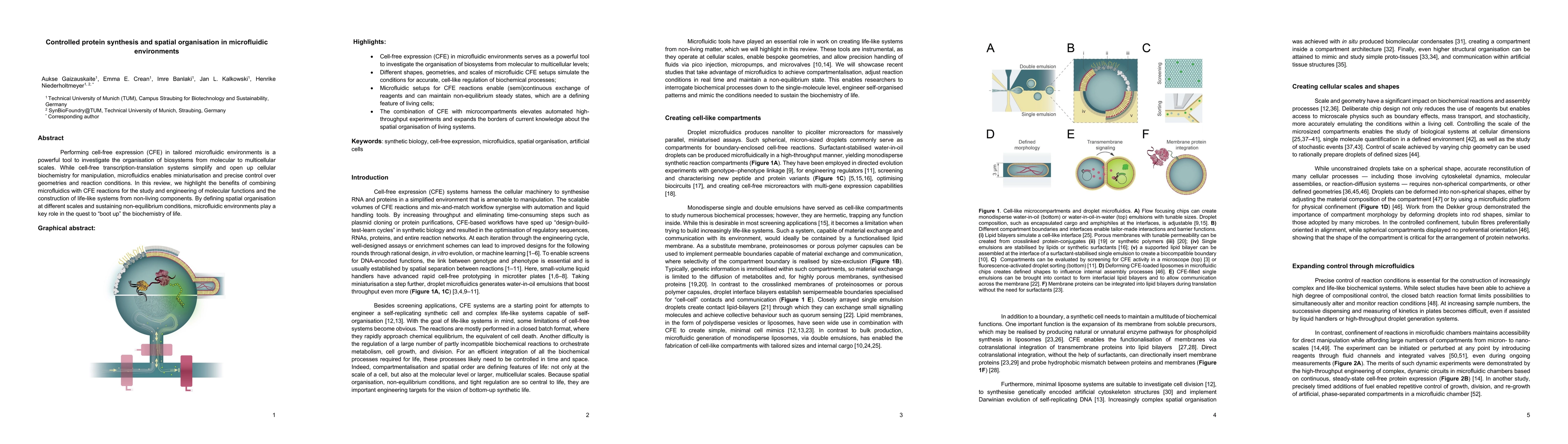 Thumbnail for Controlled protein synthesis and spatial organisation in microfluidic
  environments