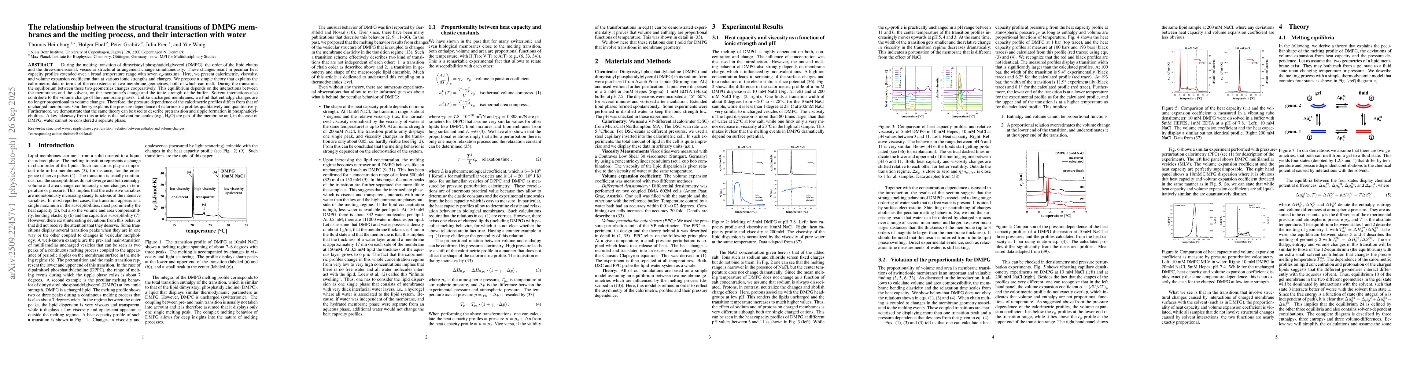 Thumbnail for The relationship between the structural transitions of DMPG membranes
  and the melting process, and their interaction with water